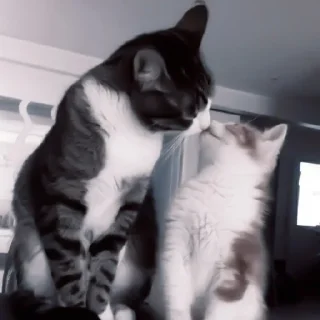 😘