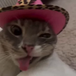 🤪