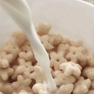 🤎
