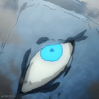 👁