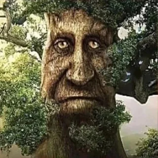 🙁