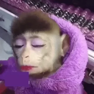 🐒