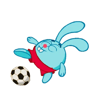 🐰