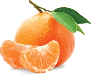 🍊
