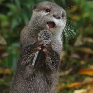 🎤