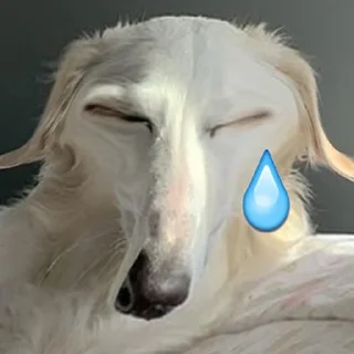 🥲
