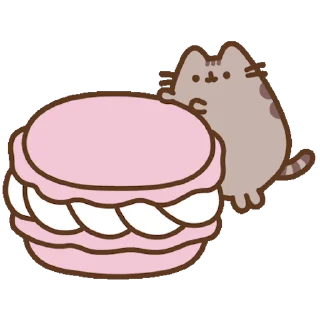 🍪