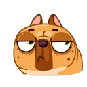 🙅