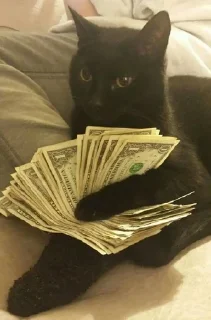 💸