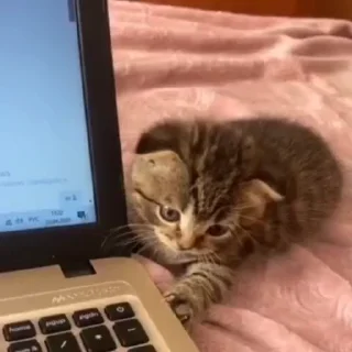 😱