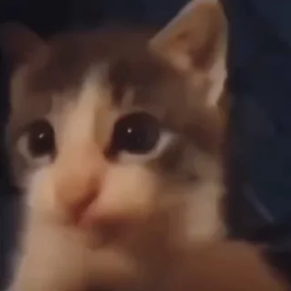 😘