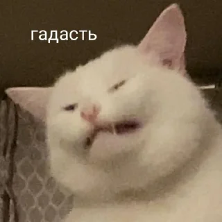 🤮