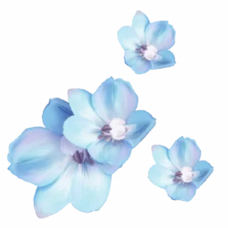 🌸