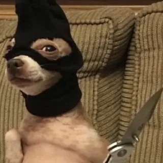 ☠️