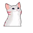 😺