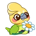 🌼