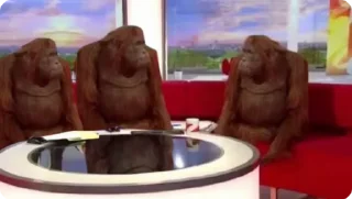 🐒