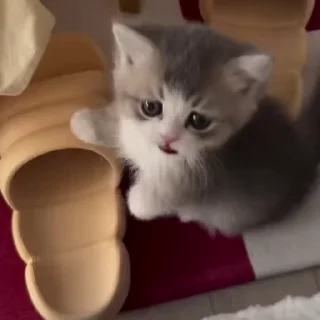 🥰