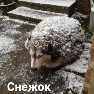 ❄️