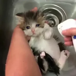 😭