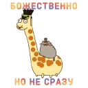 🦄
