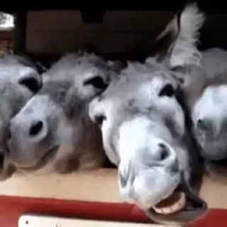 😁