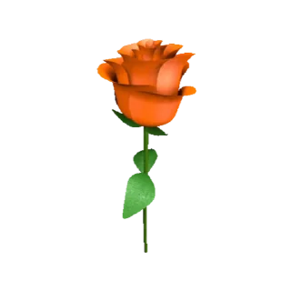 🌹