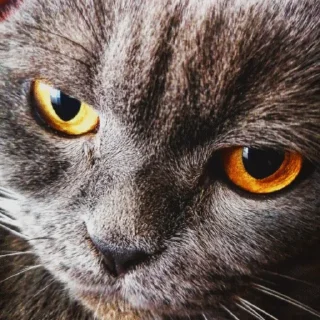 🤨