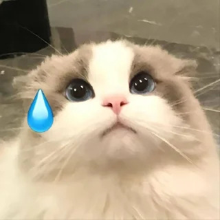 😓
