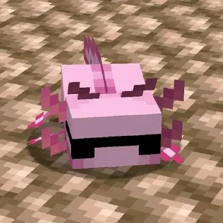 😎