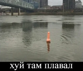 🌭