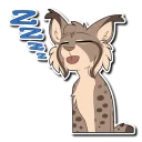 💤
