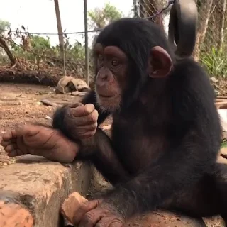 👷