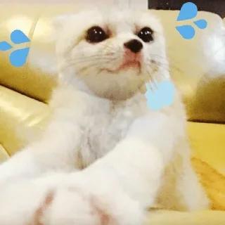 💦