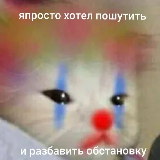 🐈‍⬛