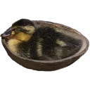 🍛