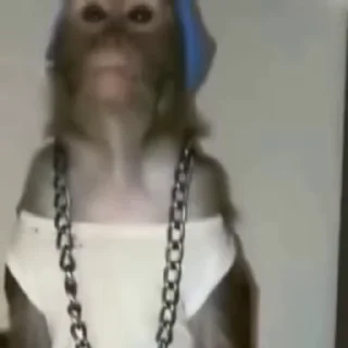 😎