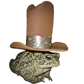 🐸