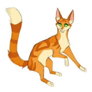 🐱
