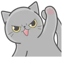 😾