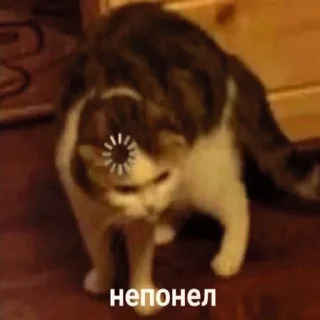 🤔