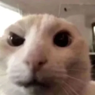 🤨