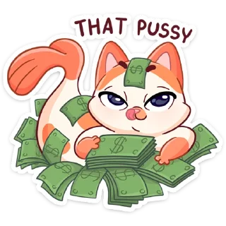 💸
