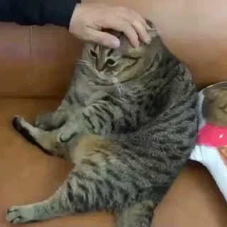 😢