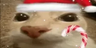 🎅