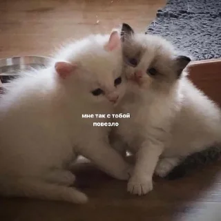 😩