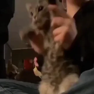 🕺