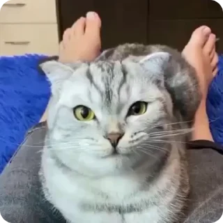 😂