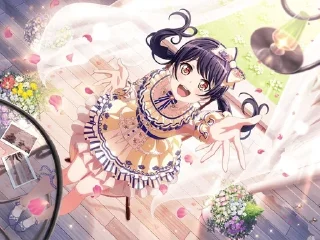⭐️