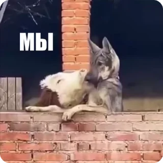 🤗